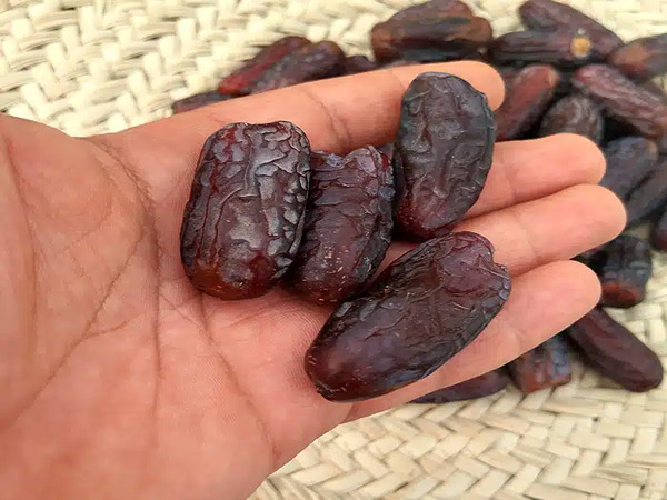 تصویر 2 از قیمت خرید خرما پیارم طلایی عمده به صرفه و ارزان