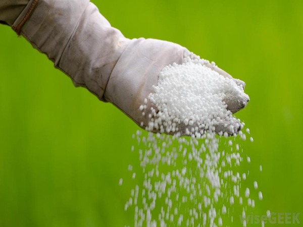 تصویر 5 از خرید و قیمت اوره ۴۶ درصد صادراتی + فروش عمده