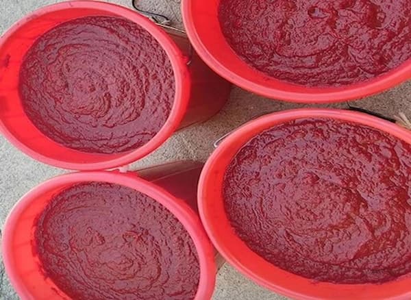 تصویر 1 از فروش رب گوجه فرنگی کوچک + قیمت خرید به صرفه