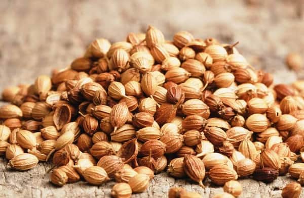 تصویر 2 از قیمت خرید تخم گشنیز کاشت با فروش عمده
