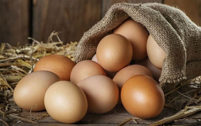 تصویر 5 از خرید تخم مرغ زرده طلا + قیمت فروش استثنایی
