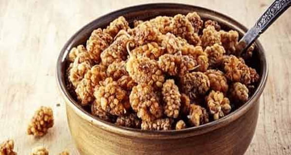 تصویر 5 از فروش توت خشک طب سنتی + قیمت خرید به صرفه