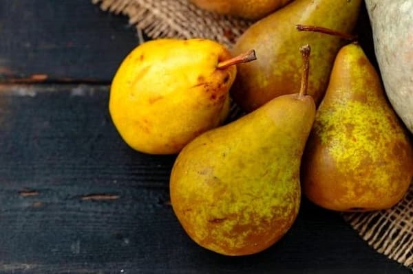 تصویر 2 از خرید و قیمت گلابی جنگلی سردشت + فروش عمده