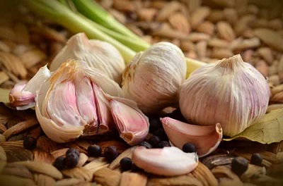 تصویر 3 از فروش سیر خشک صادراتی + قیمت خرید به صرفه