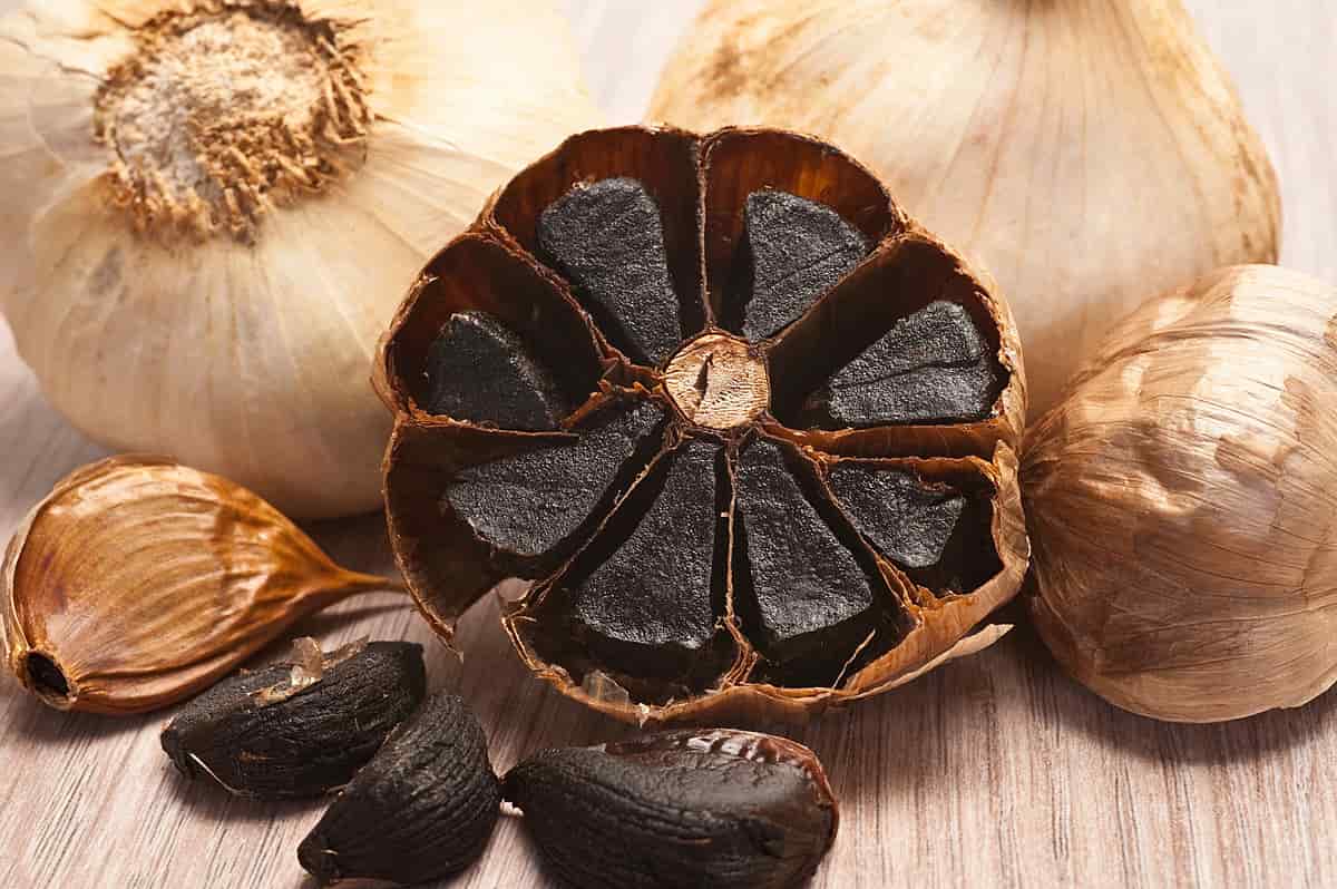 تصویر 4 از خرید سیر سیاه صادراتی + قیمت فروش استثنایی