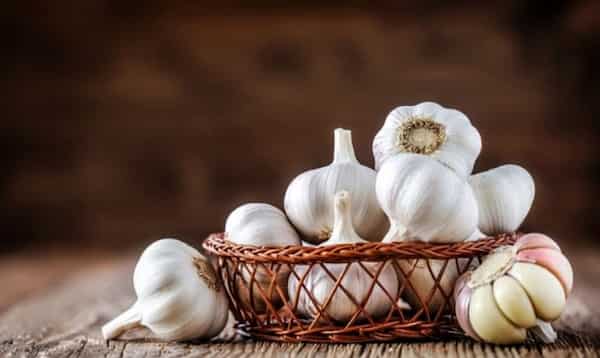 تصویر 4 از قیمت پودر سیر اعلا + خرید باور نکردنی