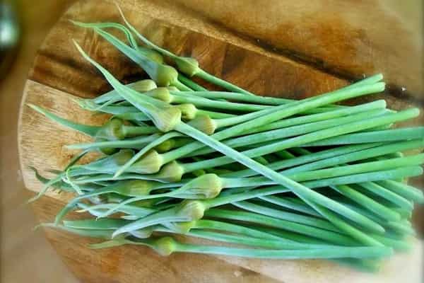 تصویر 5 از خرید سیر خشک عمده + قیمت فروش استثنایی