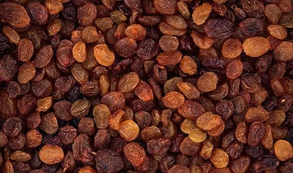 تصویر 5 از قیمت و خرید کشمش تیزابی صادراتی + فروش ارزان
