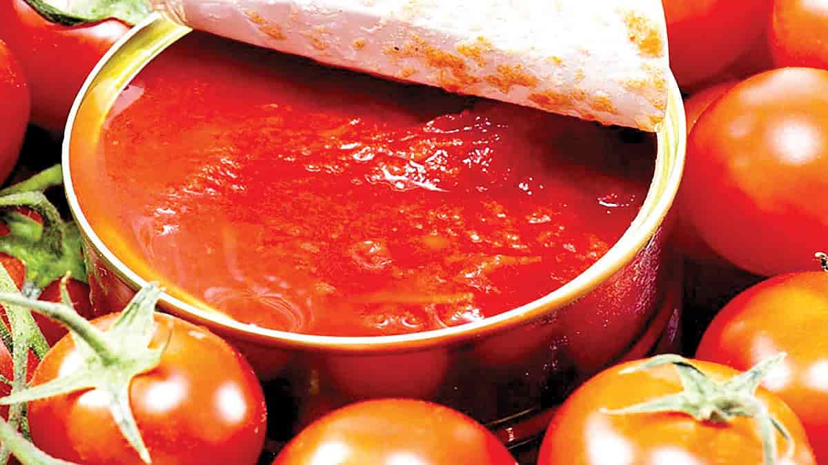 تصویر 1 از قیمت رب گوجه قوطی + خرید باور نکردنی