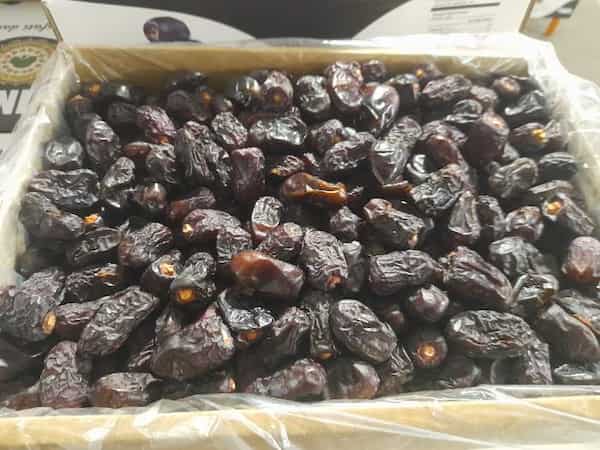 تصویر 1 از خرید خرما سطلی کبکاب + قیمت عالی باکیفیت