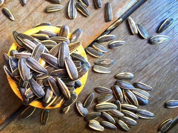 تصویر 2 از فروش تخمه آفتابگردان طعم دار + قیمت خرید به صرفه