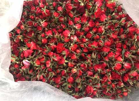 تصویر 3 از خرید و فروش گل سرخ تبریز با شرایط فوق العاده