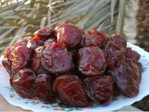 تصویر 1 از قیمت خرید خرما کبکاب تاپو + فروش ویژه