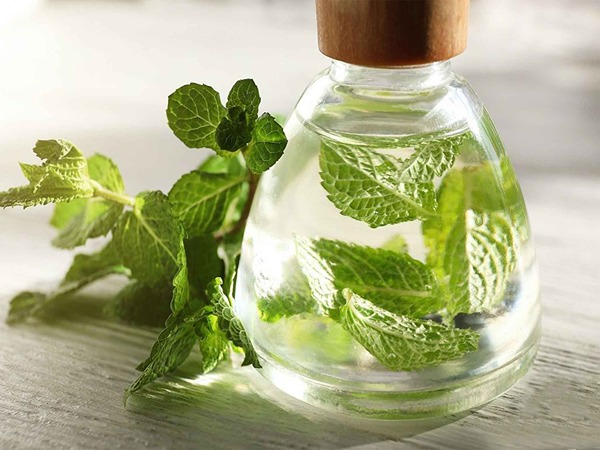 تصویر 1 از خرید عرق نعنا عمده + قیمت فروش استثنایی