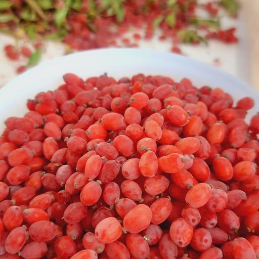 تصویر 1 از قیمت خرید زرشک تازه بسته بندی با فروش عمده