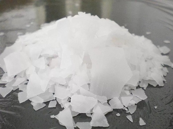 تصویر 4 از خرید سود پرک گوهر + قیمت فروش استثنایی