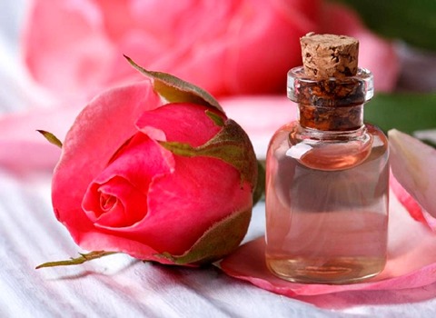 تصویر 5 از خرید و قیمت گلاب غنچه گل محمدی + فروش عمده
