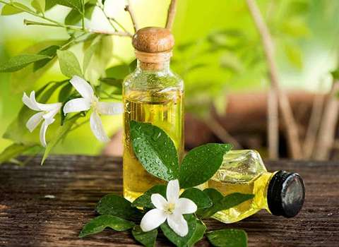 فروش عرق بیدمشک کاشان + قیمت خرید به صرفه