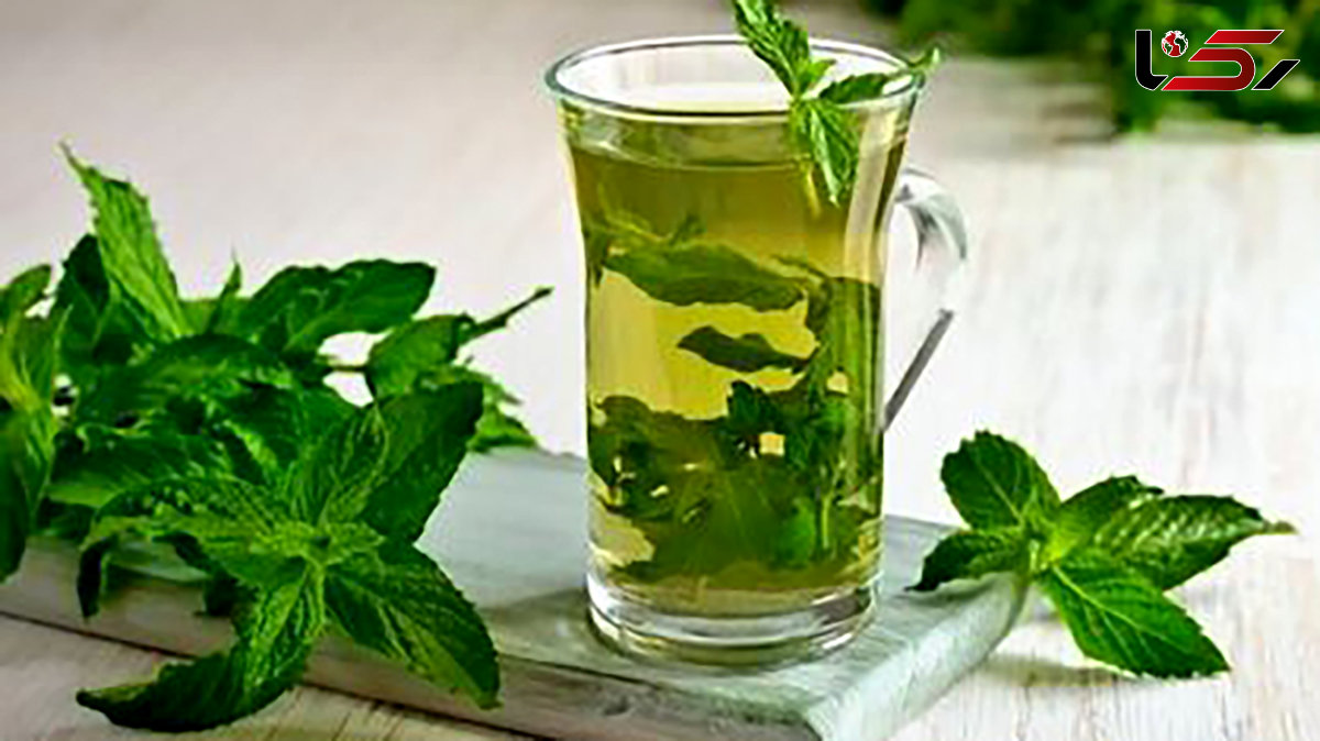 تصویر 5 از خرید عرق نعنا دو آتیشه + قیمت فروش استثنایی