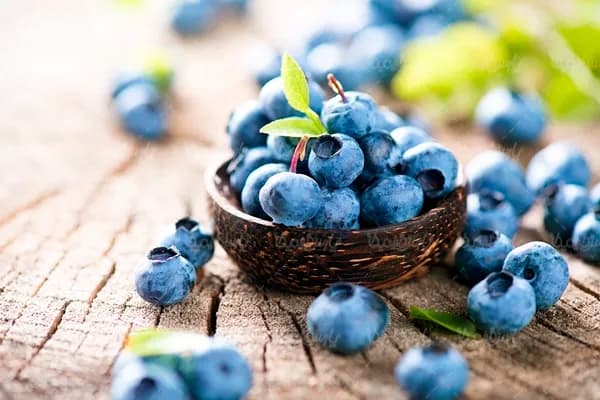 تصویر 1 از فروش آبمیوه بطری تک نفره + قیمت خرید به صرفه