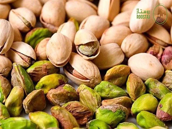 تصویر 4 از فروش پسته مرغوب ایرانی + قیمت خرید به صرفه