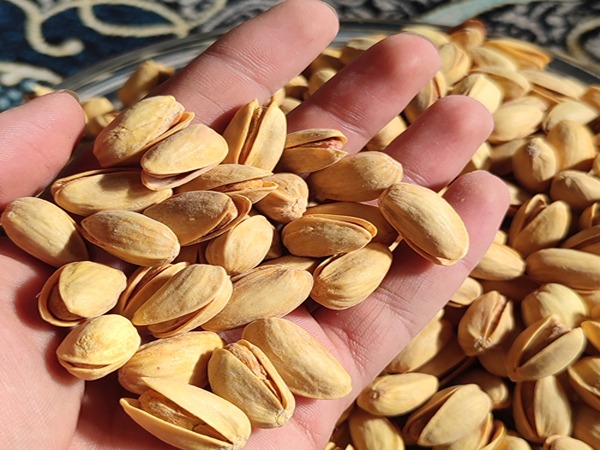 تصویر 5 از قیمت خرید پسته احمد آقایی زعفرانی با فروش عمده