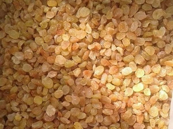 تصویر 1 از خرید کشمش طلایی اراک + بهترین قیمت