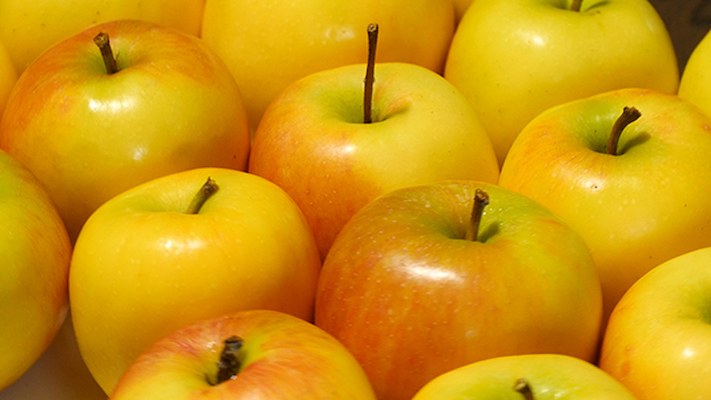 تصویر 3 از فروش سیب گلاب زرد + قیمت خرید به صرفه