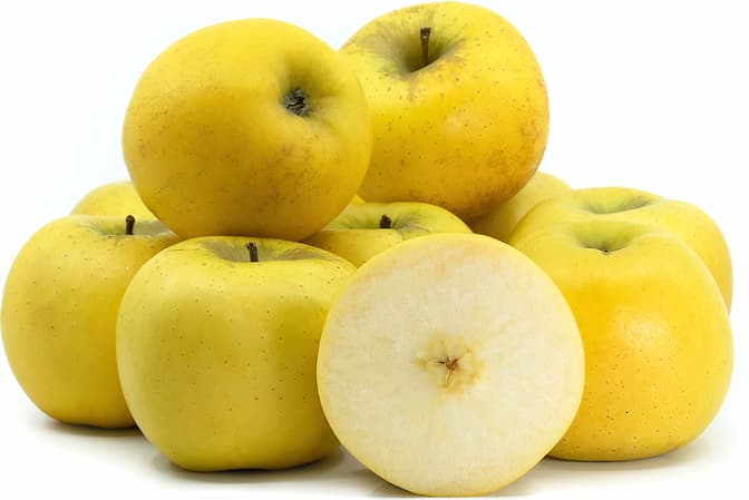 تصویر 2 از فروش سیب گلاب زرد + قیمت خرید به صرفه