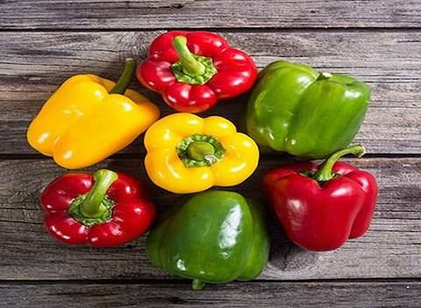 تصویر 4 از فروش فلفل دلمه ای رنگی گلخانه ای + قیمت خرید به صرفه
