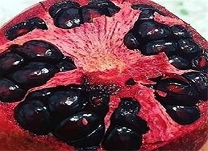 تصویر 2 از قیمت انار دانه مشکی شیراز + خرید باور نکردنی