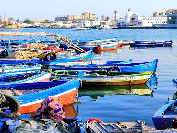 تصویر 5 از فروش تور مسافرتی جنوب ایران + قیمت خرید به صرفه