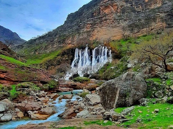 تصویر 1 از قیمت خرید تور مسافرتی جنگلی عمده به صرفه و ارزان