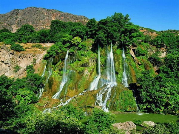 تصویر 2 از قیمت خرید تور مسافرتی جنگلی عمده به صرفه و ارزان