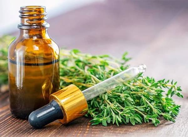 تصویر 4 از خرید و فروش اسانس آویشن شیرازی با شرایط فوق العاده