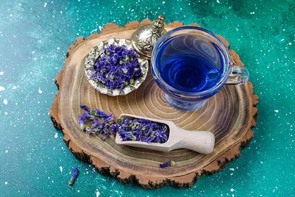 تصویر 4 از قیمت گل گاو زبان فله + خرید باور نکردنی