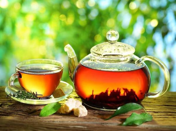 تصویر 3 از خرید و فروش چای سبز ایرانی با شرایط فوق العاده