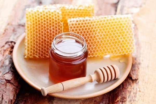 تصویر 5 از خرید عسل تغذیه خراسان + قیمت فروش استثنایی