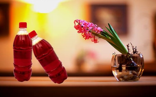 تصویر 5 از خرید و قیمت عصاره زعفران مشهد + فروش عمده