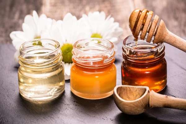 تصویر 5 از فروش عسل کنار اعلا + قیمت خرید به صرفه