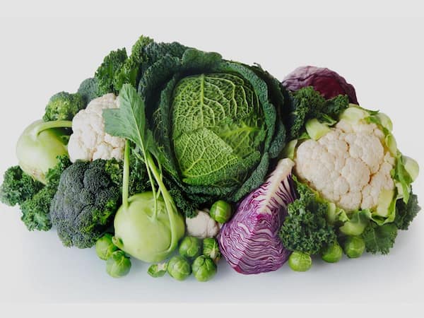 تصویر 3 از خرید گل کلم پیوندی + قیمت فروش استثنایی