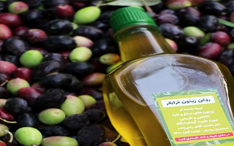 تصویر 5 از خرید روغن زیتون زرد + قیمت فروش استثنایی