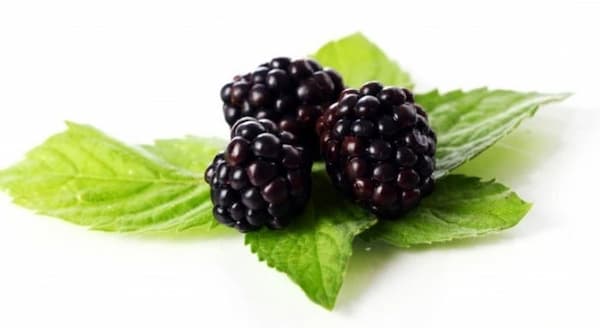 تصویر 2 از میوه خشک مخلوط 7 میوه دانه‌ بندی دقیق و منظم