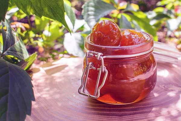 تصویر 4 از قیمت مربای انجیر قرمز + خرید باور نکردنی
