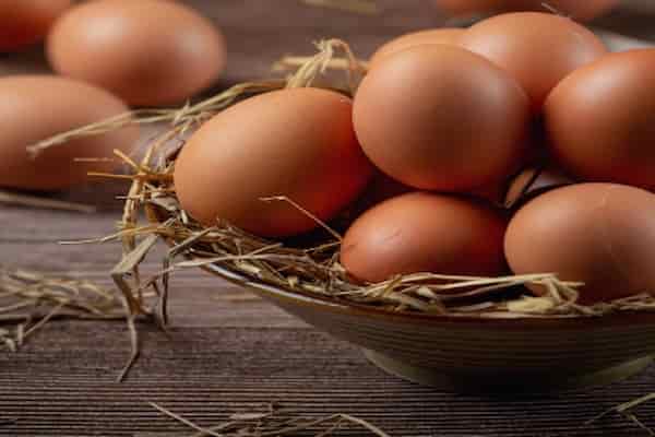 تصویر 4 از خرید و قیمت تخم مرغ محلی اصل + فروش عمده