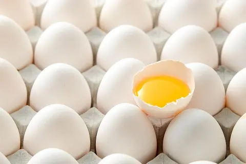 تصویر 4 از قیمت خرید تخم مرغ محلی شمال با فروش عمده