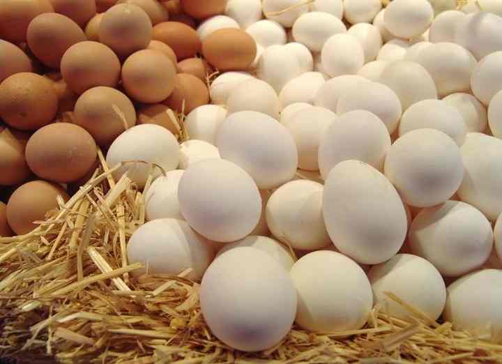 تصویر 2 از قیمت خرید تخم مرغ طبیعی با فروش عمده