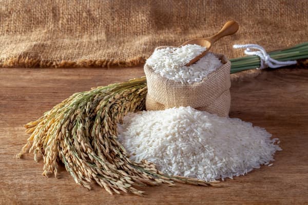 تصویر 3 از قیمت برنج طارم هاشمی اعلا با کیفیت ارزان + خرید عمده
