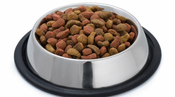 تصویر 5 از فروش خوراک سگ بالغ نژاد کوچک + قیمت خرید به صرفه