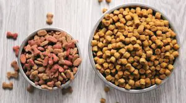 تصویر 3 از خرید و فروش خوراک توله سگ نژاد بزرگ با شرایط فوق العاده
